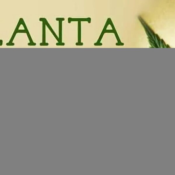 vida cannabica