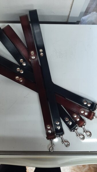 Collares, correas, pretales, correas cinturones de seguridad
