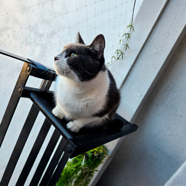 CAMA COLGANTE BALCONERA GATOS 55x30x12 CM PLOPPY-PETS 6 COLORES