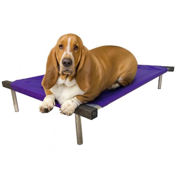 CAMA CATRE PERROS GRANDE 65 X 90 CM PLOPPY-PETS 7 COLORES