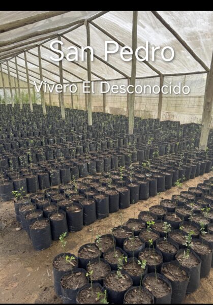 Bolsas de cultivo, bolsas para tierra