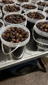 Aceitunas