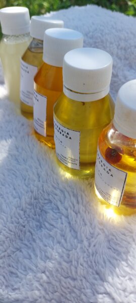 SHAMPOO SOLIDO PARA CAIDA DE CABELLO, CASPA, NUTRIR Y FORTALECER, PARA NIÑOS Y MACOTAS.- ROMERO, ORTIGA, PALTA, ALOE VERA, MANZANILLA, CALENDULA.-