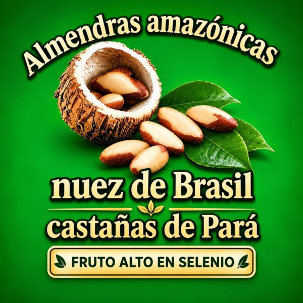 Almendras amazonicas