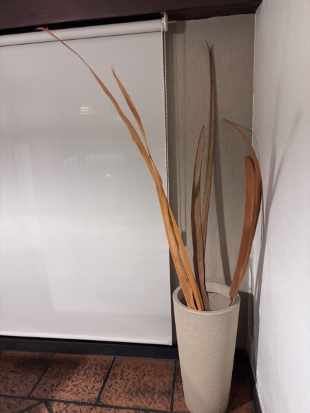 Cortinas Enrollar Blackout Sunscreem