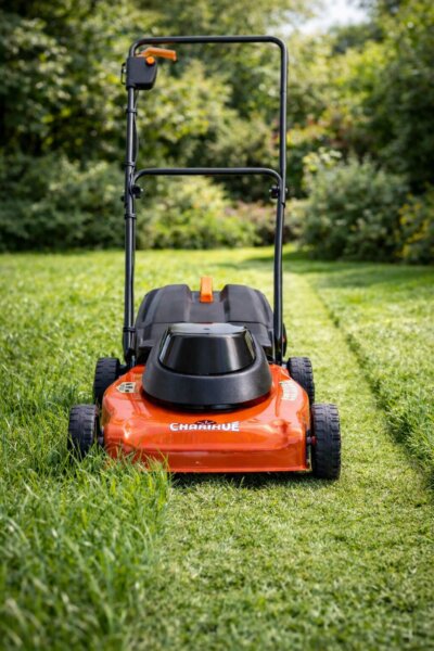 Cortadora Cesped Charihué Eléctrica 1 Hp Modelo RAE55