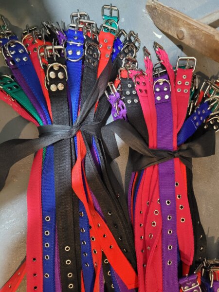 Accesorios para mascotas